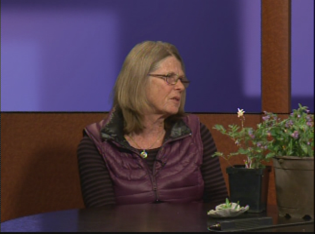 Thumbnail image for Around Town with Jane Bouvier 4/28/2016