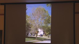 Navigate to GPL presents: Groton's Invasive Species with Olin Lathrop (Part 2)