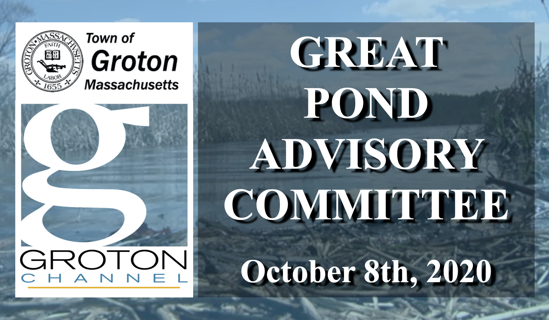 Great Pond Advisory Committee 10/8/20 via Internet Conference